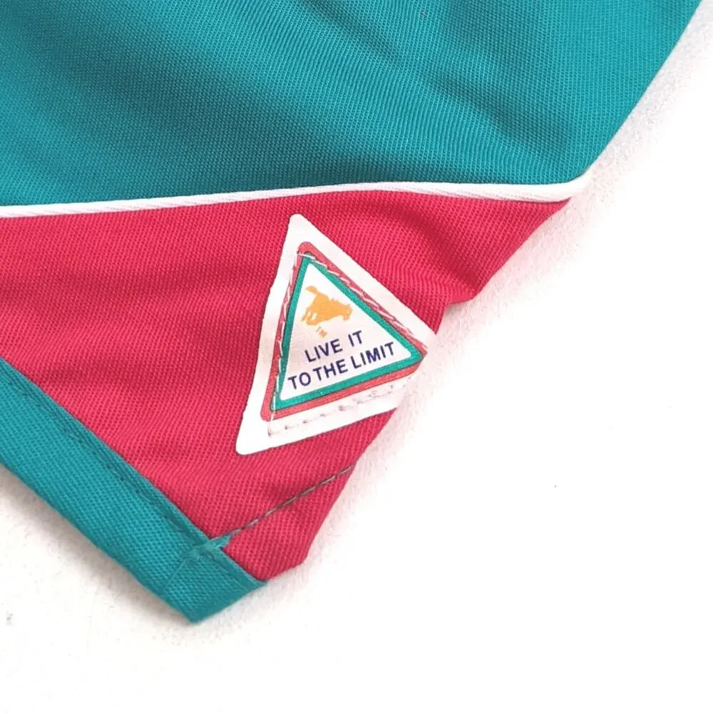 Vintage Wrangler Shorts Children's Sz 5 Teal Colorblock 80s Track